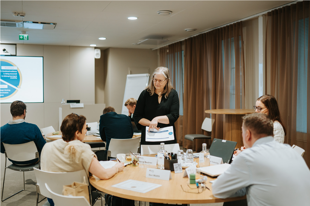 Henley's University-Level Team Coaching Programme